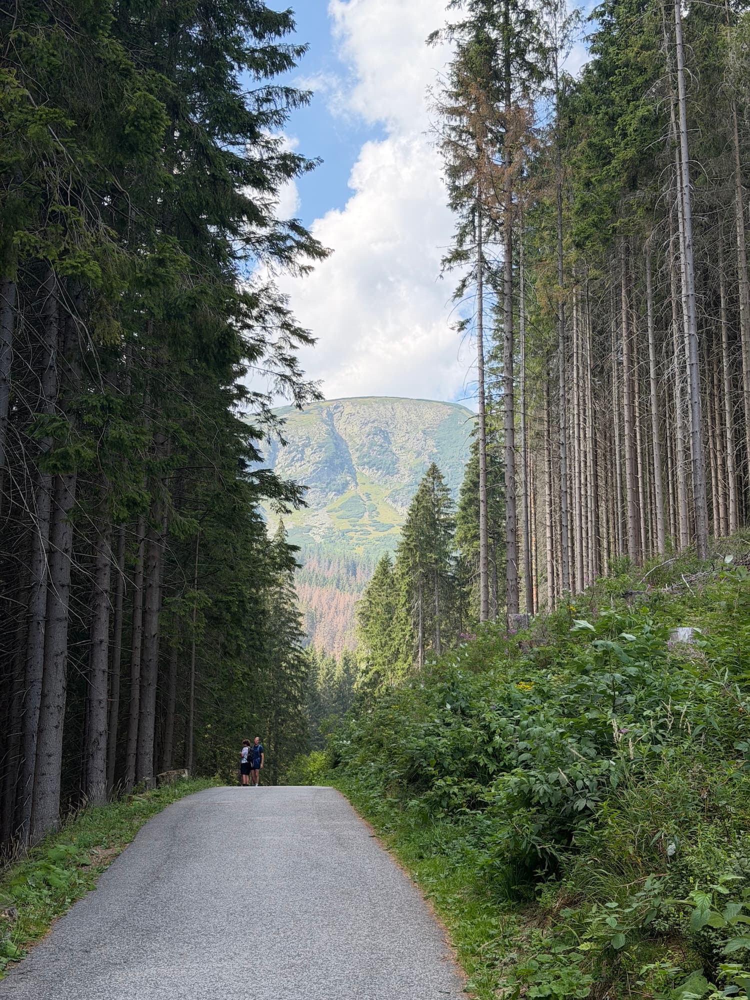 Léto